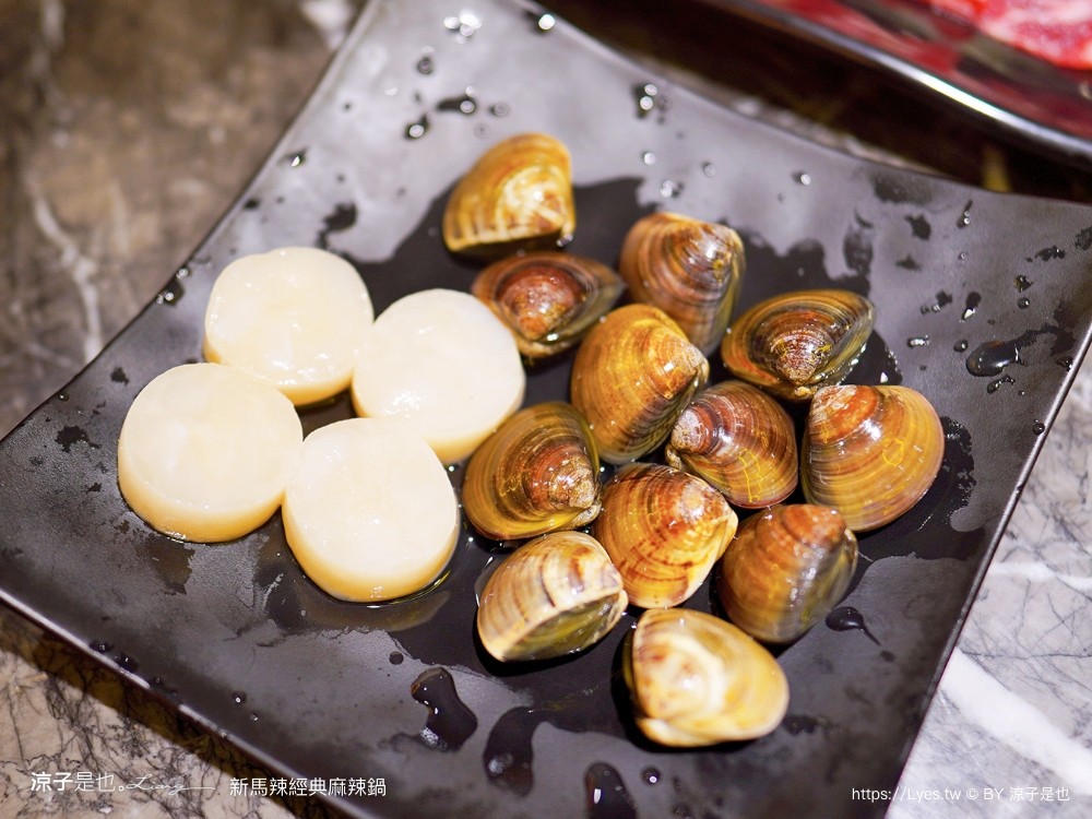 新馬辣經典麻辣鍋 菜單 價位 台中麻辣鍋吃到飽 台中公益路餐廳 壽星優惠 和牛火鍋 哈根達斯