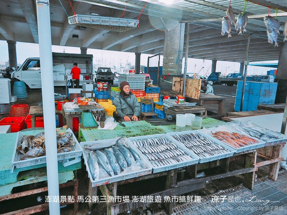 澎湖景點 馬公第三漁市場 澎湖旅遊 魚市搶鮮趣