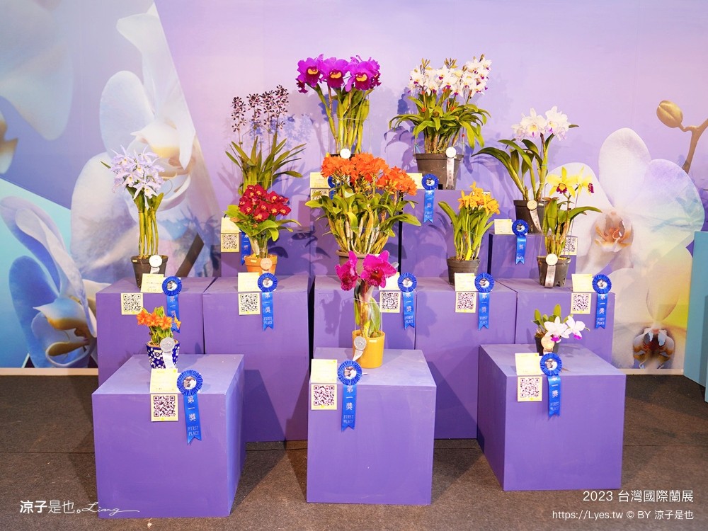 台灣國際蘭展 門票 2023時間 台南景點 魔境 恐龍 親子diy 必看亮點 台南限定蘭花