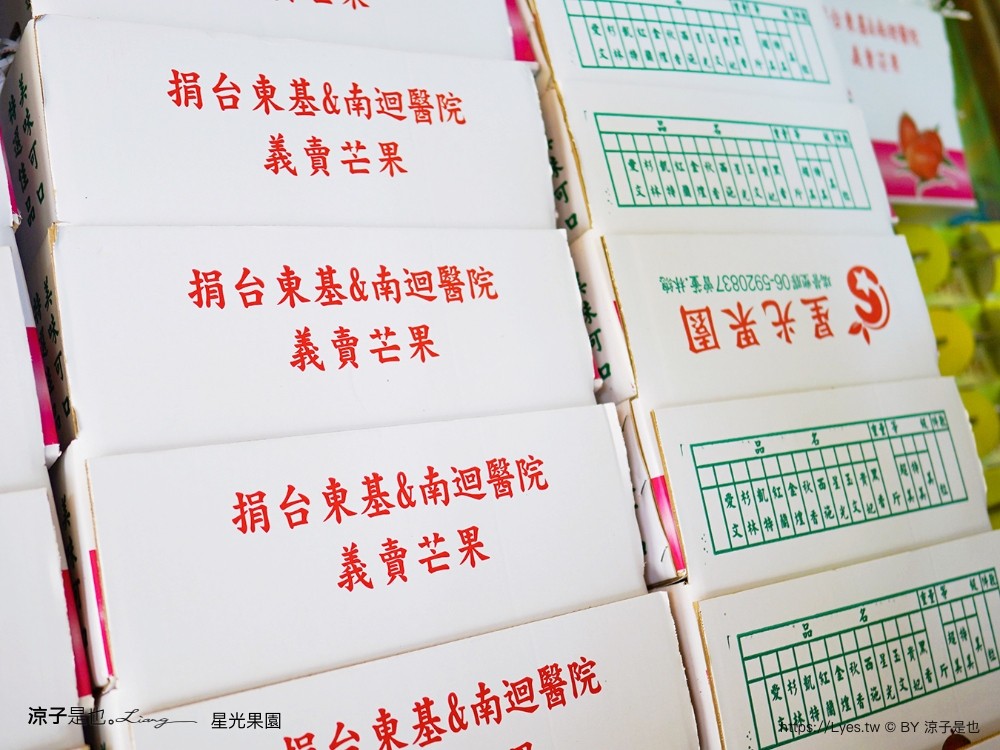 星光 親子景點 免費採果活動 台南農場 台南露營 diy 採芒果體驗 自然的鬥士