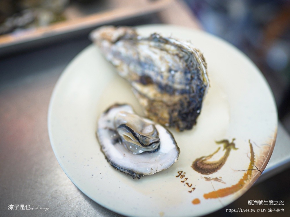 龍海號生態之旅 台南七股景點 台南景點 烤蚵吃到飽 親子景點 台南生態旅遊