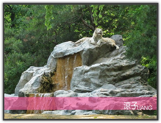 愛寶樂園(動物篇)08