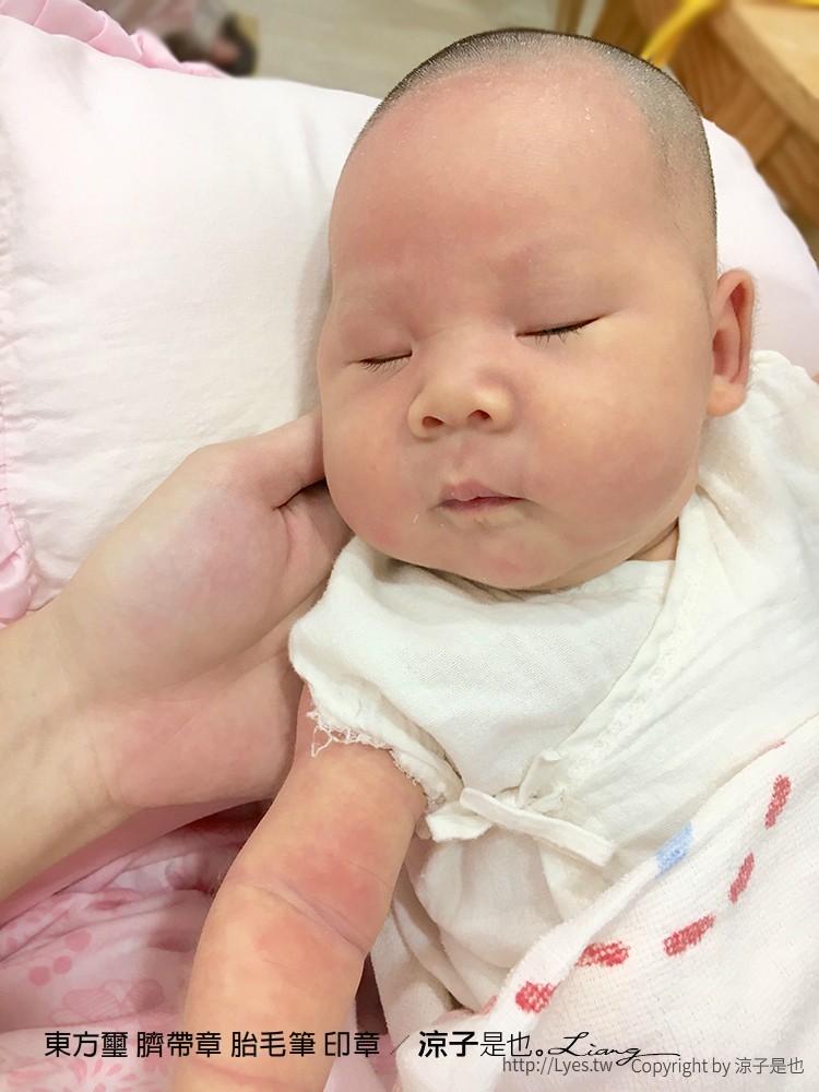 東方璽 臍帶章 胎毛筆 印章