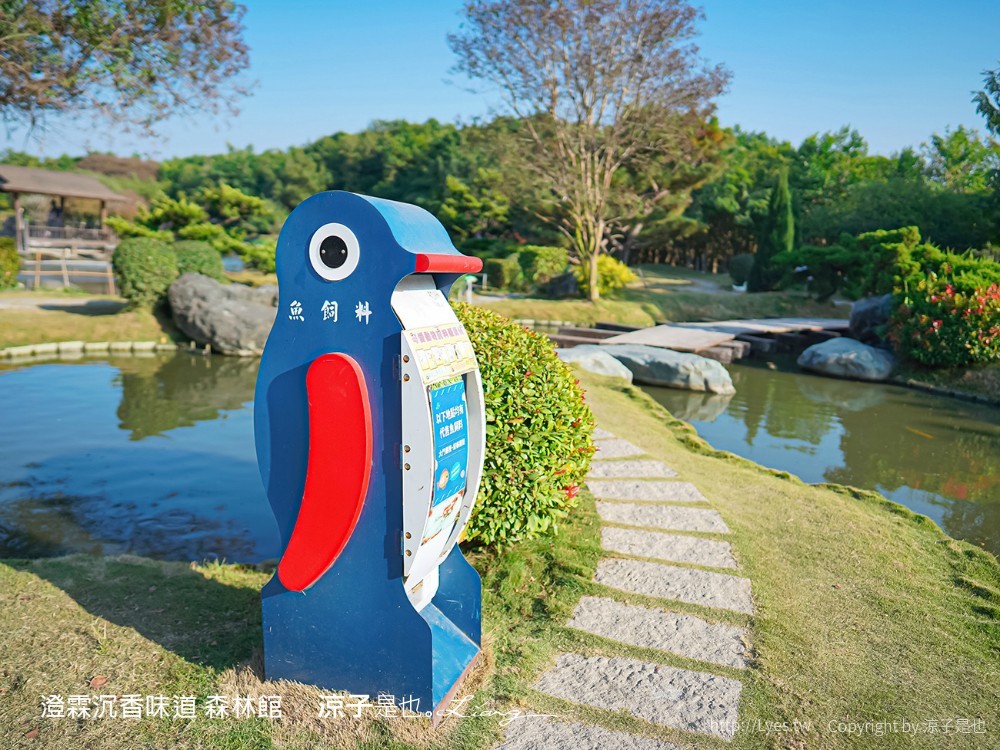 澄霖沉香味道森林館 雲林景點 愛心落羽松 湖畔步道 水之教堂 台版兼六園