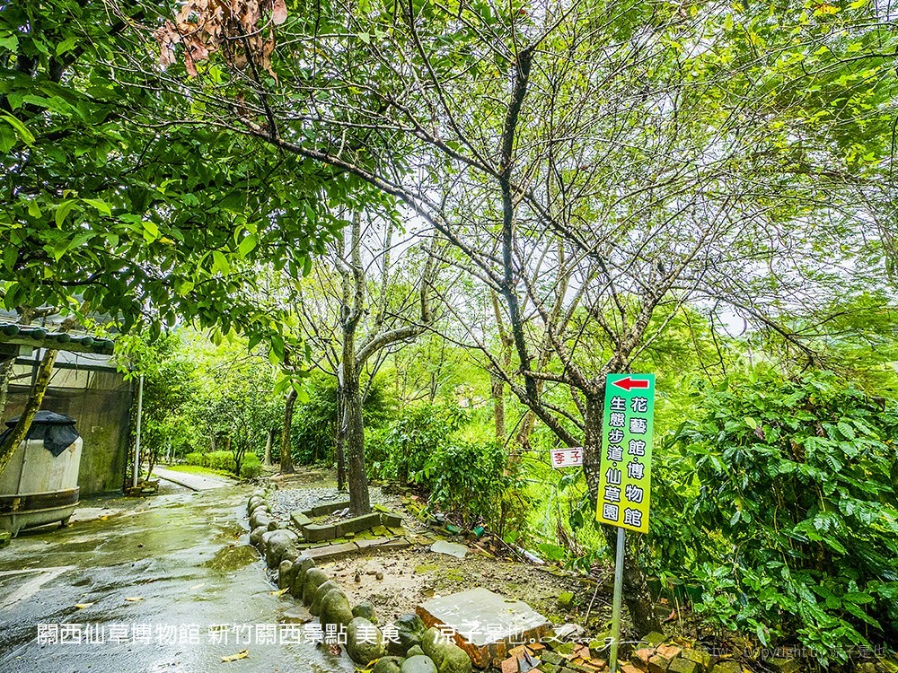 關西仙草博物館 新竹關西景點 美食