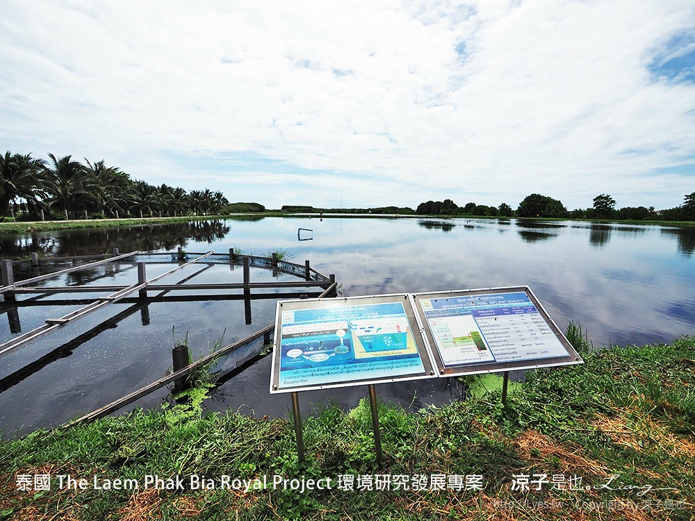 泰國 The Laem Phak Bia Royal Project 環境研究發展專案