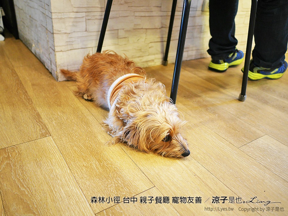 森林小徑 台中 親子餐廳 寵物友善