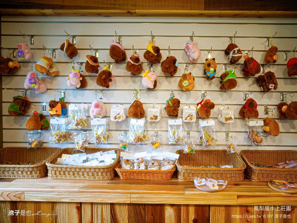 鳳梨屋水上莊園 宜蘭景點 一日遊 鳳梨屋門票 戲水池 動物園 水豚君 網美景點 水簾鞦韆 鳳梨泳池 餵羊 宜蘭豪華懶人露營 Villa 網美景點