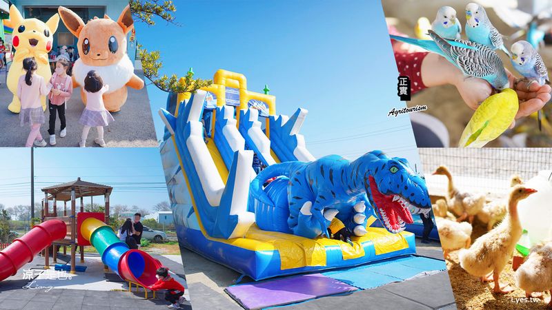 【彰化】正實親子農場 門票費用x餵小動物x氣墊樂園x沙坑溜滑梯x夏日限定戲水池 彰化親子景點