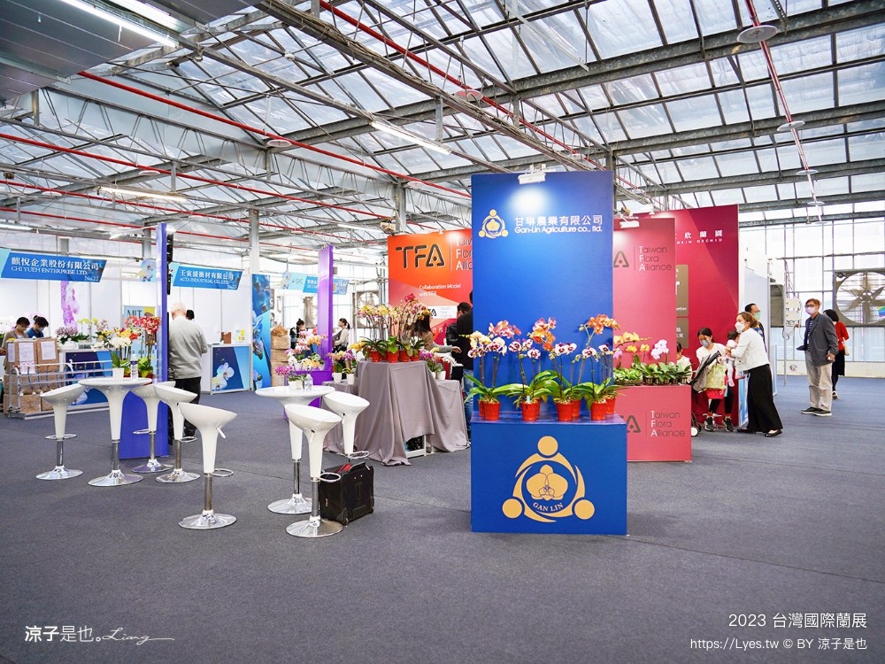 台灣國際蘭展 門票 2023時間 台南景點 魔境 恐龍 親子diy 必看亮點 台南限定蘭花
