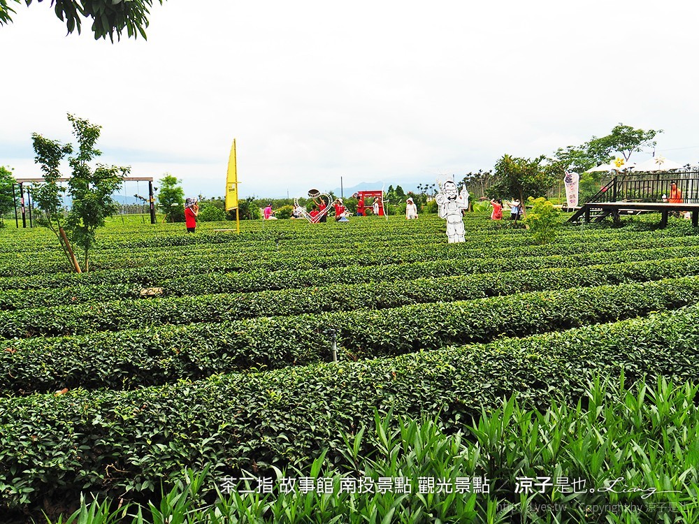 茶二指 故事館 南投景點 觀光景點