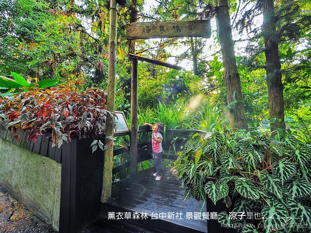 薰衣草森林 台中新社 景觀餐廳