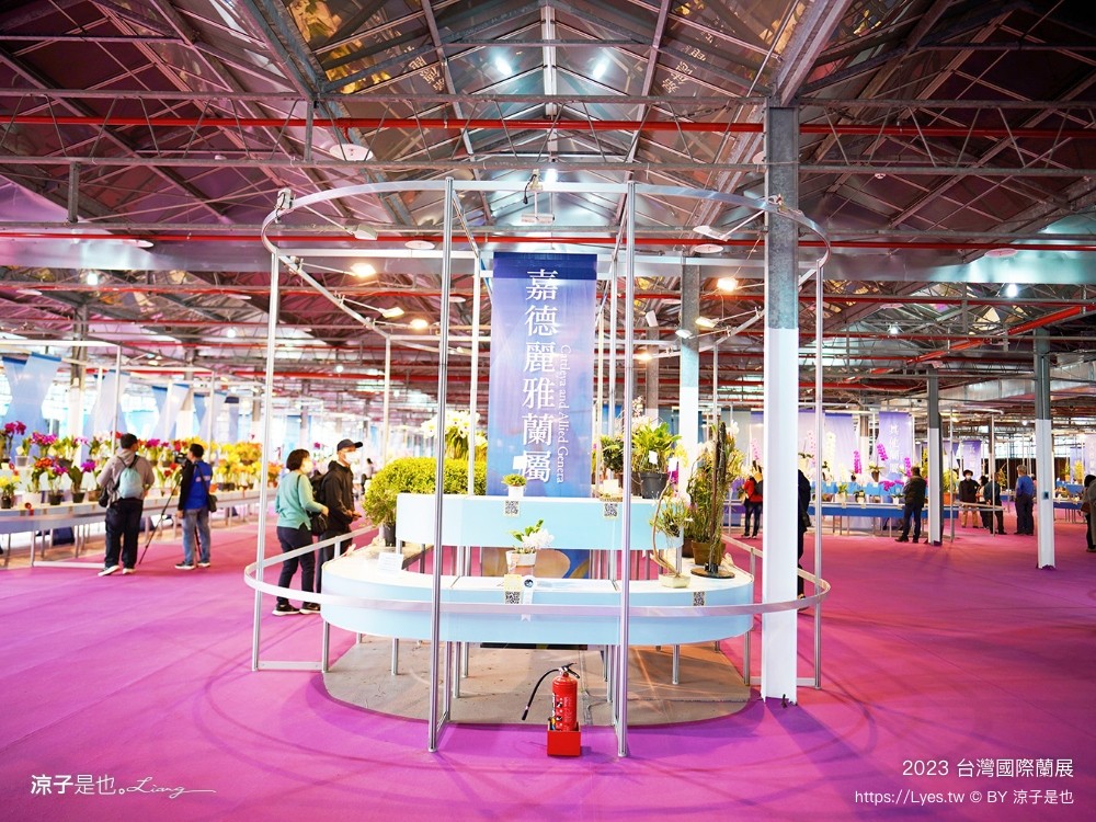 台灣國際蘭展 門票 2023時間 台南景點 魔境 恐龍 親子diy 必看亮點 台南限定蘭花