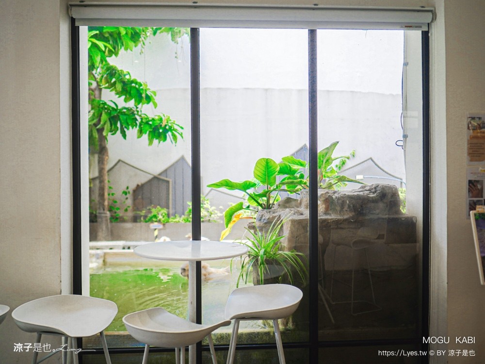 mogu kabi 豆塔專賣店 台南水豚景點 菜單 台南甜點推薦 夏威夷豆塔 台南水豚下午茶 水果塔 水豚打卡景點