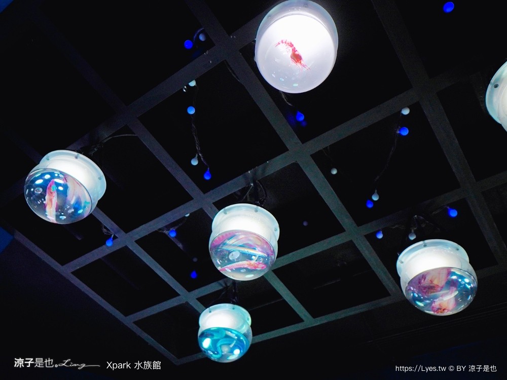 xpark水族館 門票優惠 桃園 親子景點 最新攻略 必看展區 美食餐廳 交通 停車 住宿