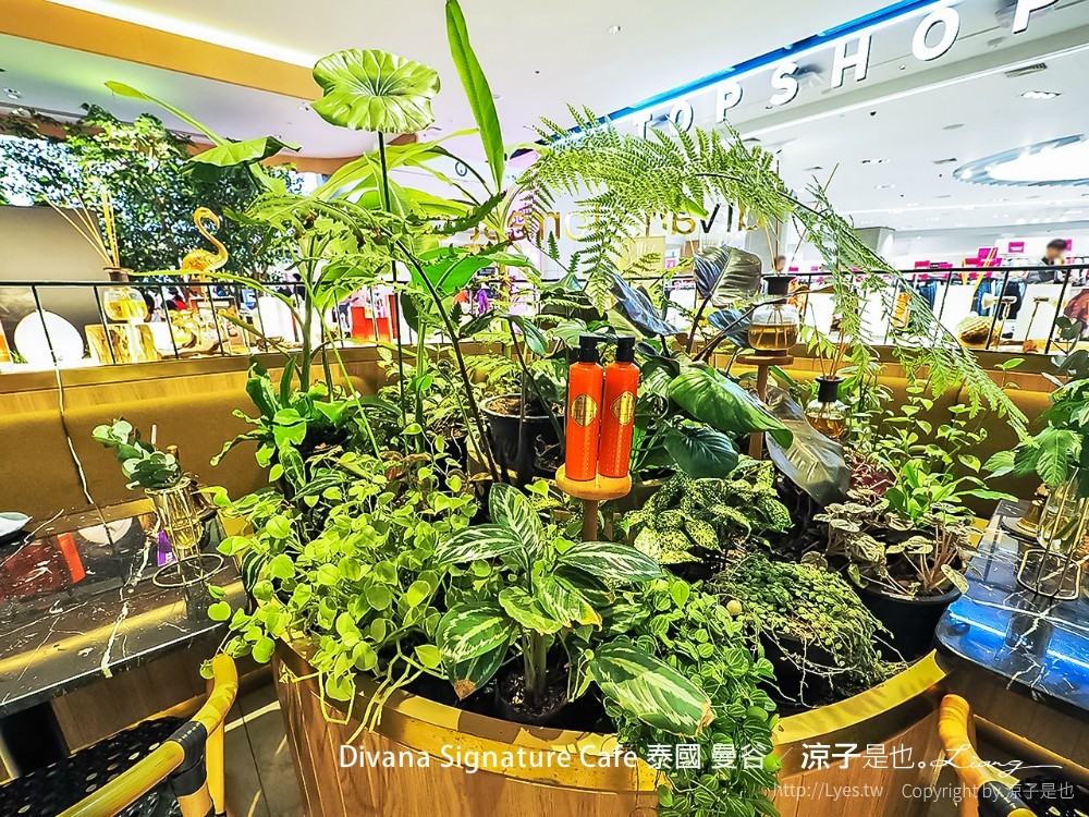 Divana ForRest Cafe signature 泰國 曼谷