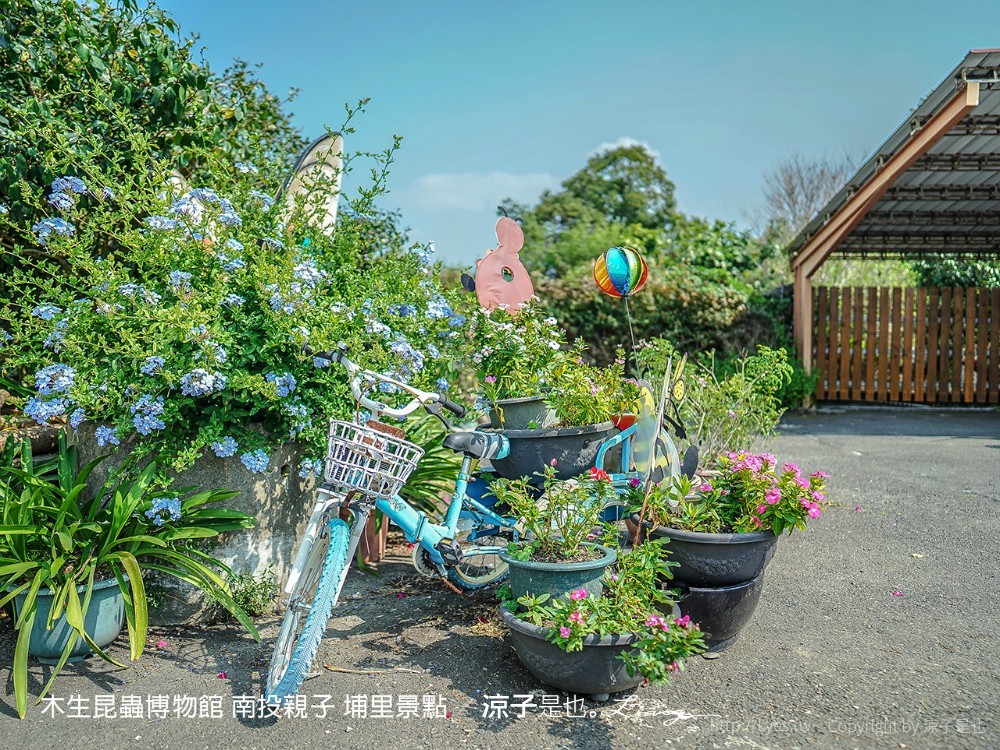 木生昆蟲博物館 南投親子 埔里景點