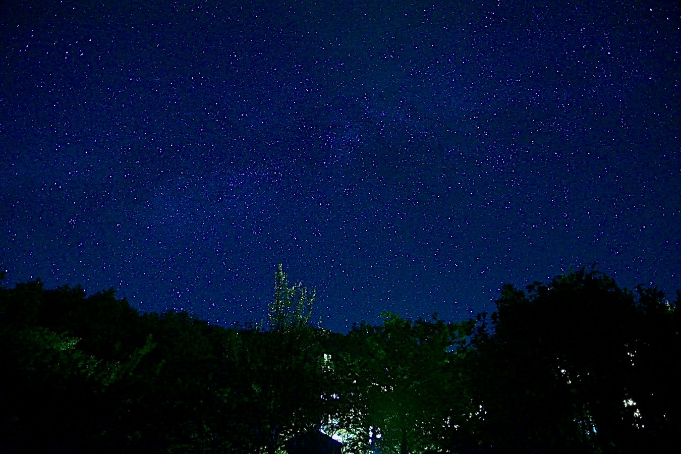 武陵富野渡假村 武陵富野渡假村 台中 福壽山 櫻花季 房型 餐廳 早餐 自助餐 一泊二食 2024 觀星