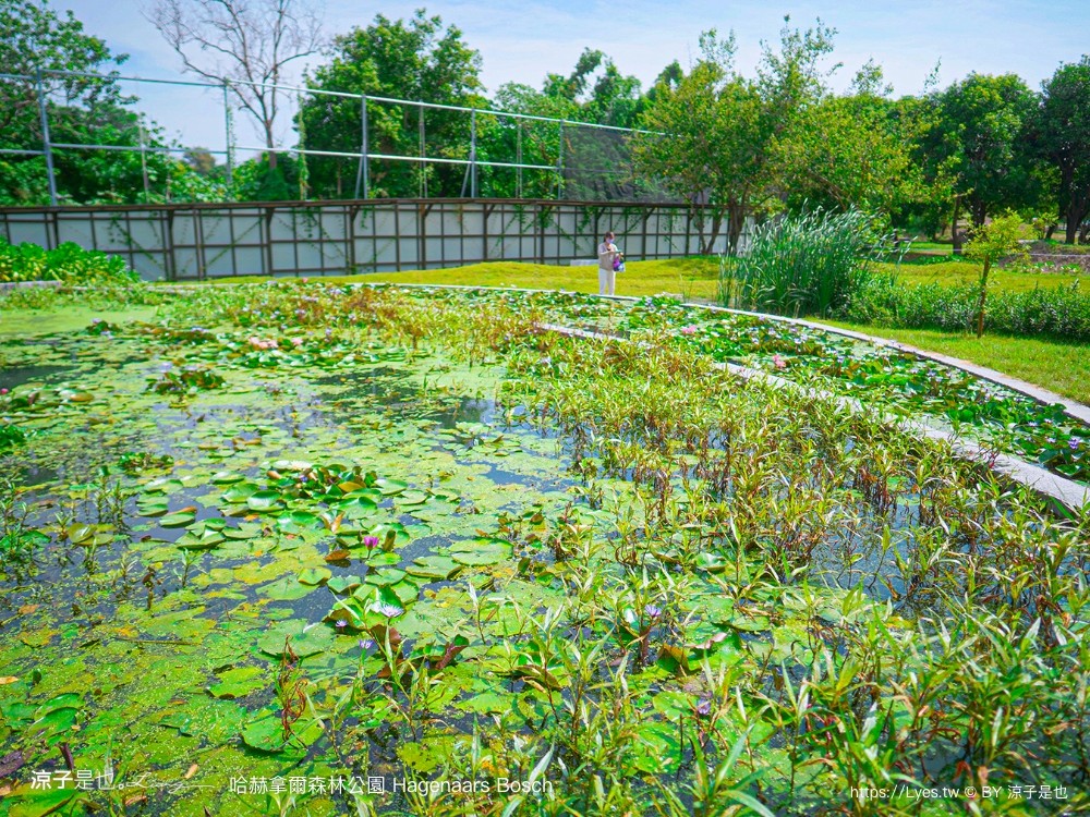 哈赫拿爾森林公園 台南景點 最新公園 森林秘境 開放時間 綠化 生態公園 交通 親子 hagenaars bosch