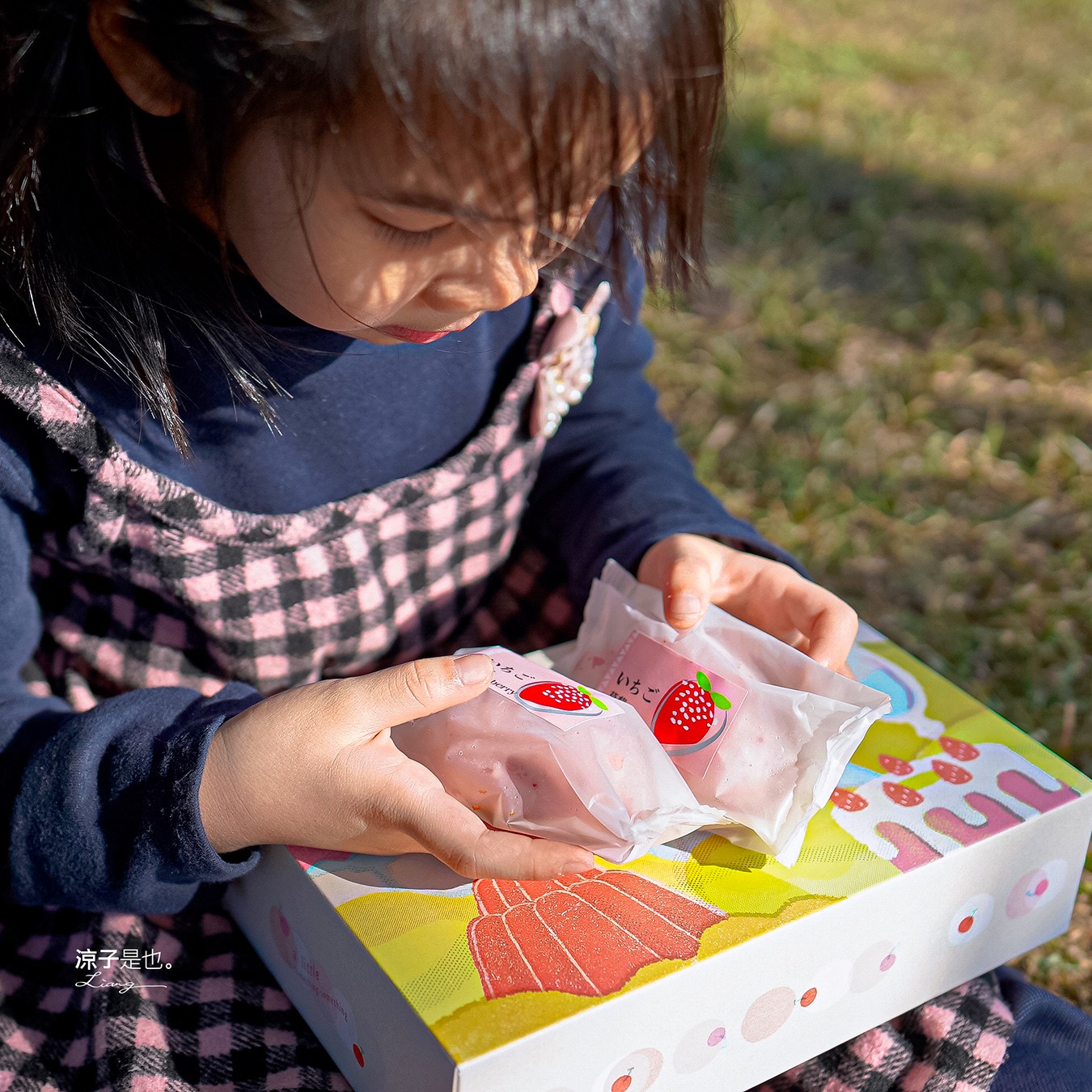 陳允寶泉 草莓檸檬蛋糕 台中伴手禮 台中美食 台中蛋糕 草莓蛋糕 團購美食 年節禮盒
