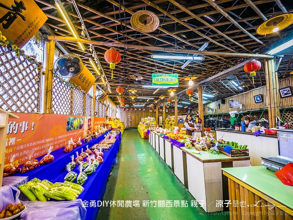 金勇DIY休閒農場 新竹關西景點 親子