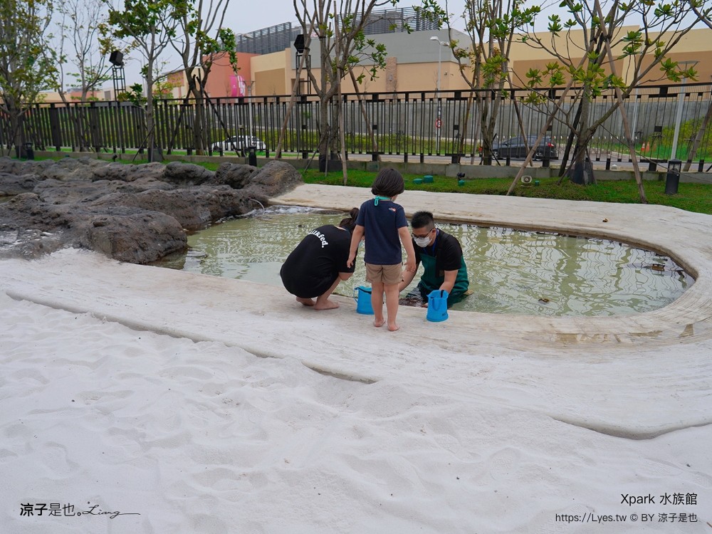 xpark水族館 門票優惠 桃園 親子景點 最新攻略 必看展區 美食餐廳 交通 停車 住宿
