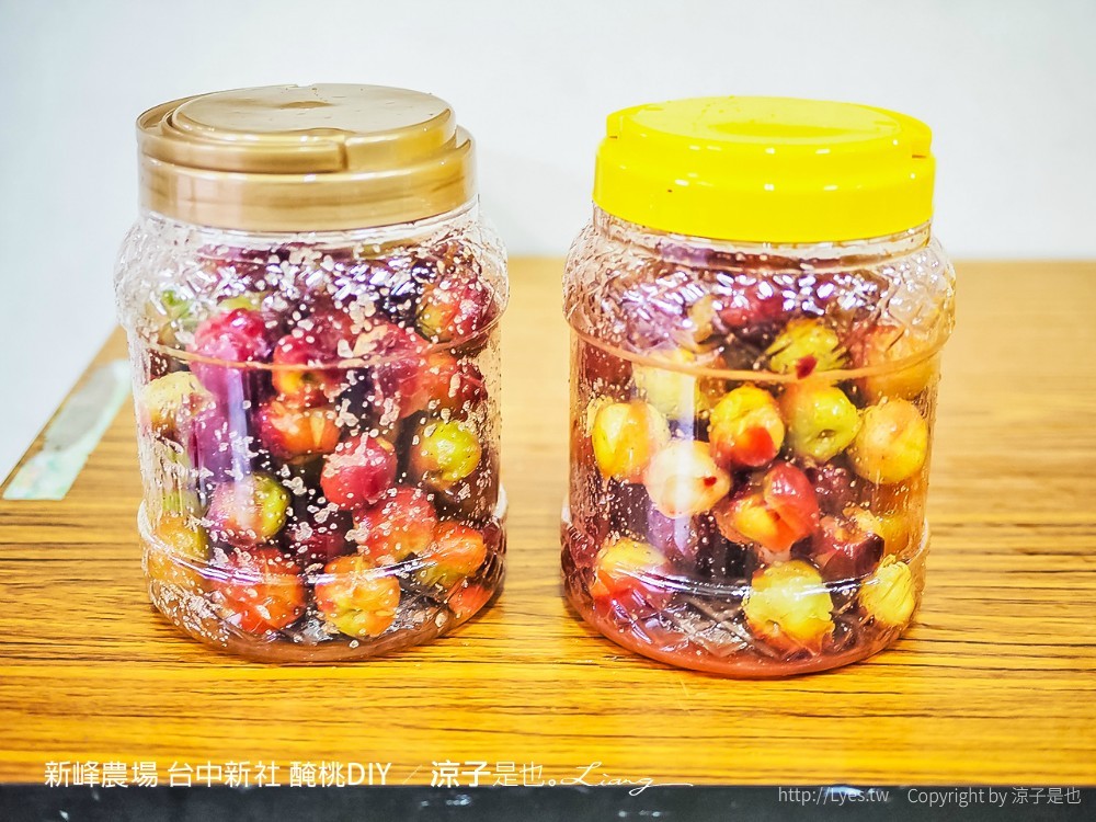 新峰農場 台中新社 醃桃DIY