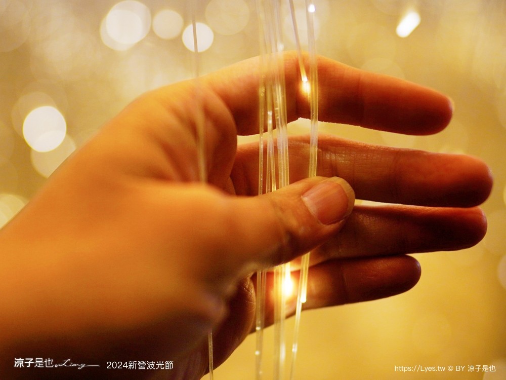 2024 新營波光節 台南 天鵝湖燈會 幾米藝術展 台南景點 新營景點 光影藝術燈會 交通