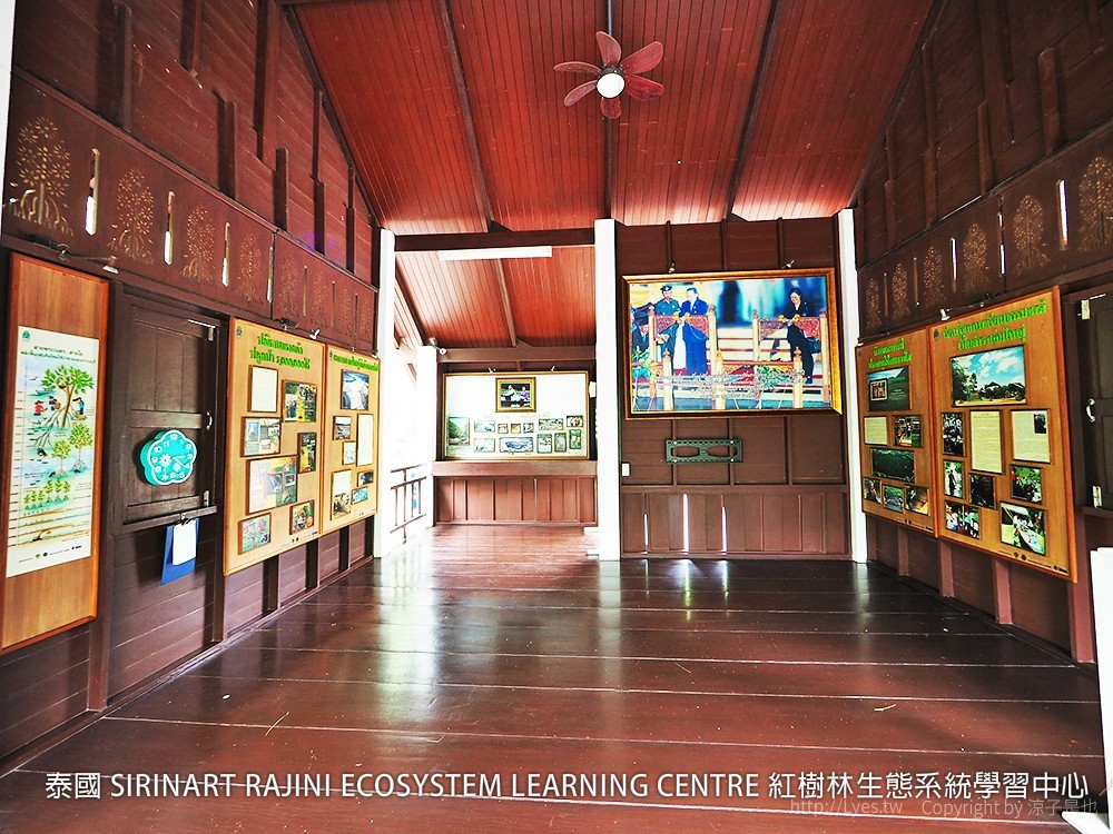 泰國 SIRINART RAJINI ECOSYSTEM LEARNING CENTRE 紅樹林生態系統學習中心