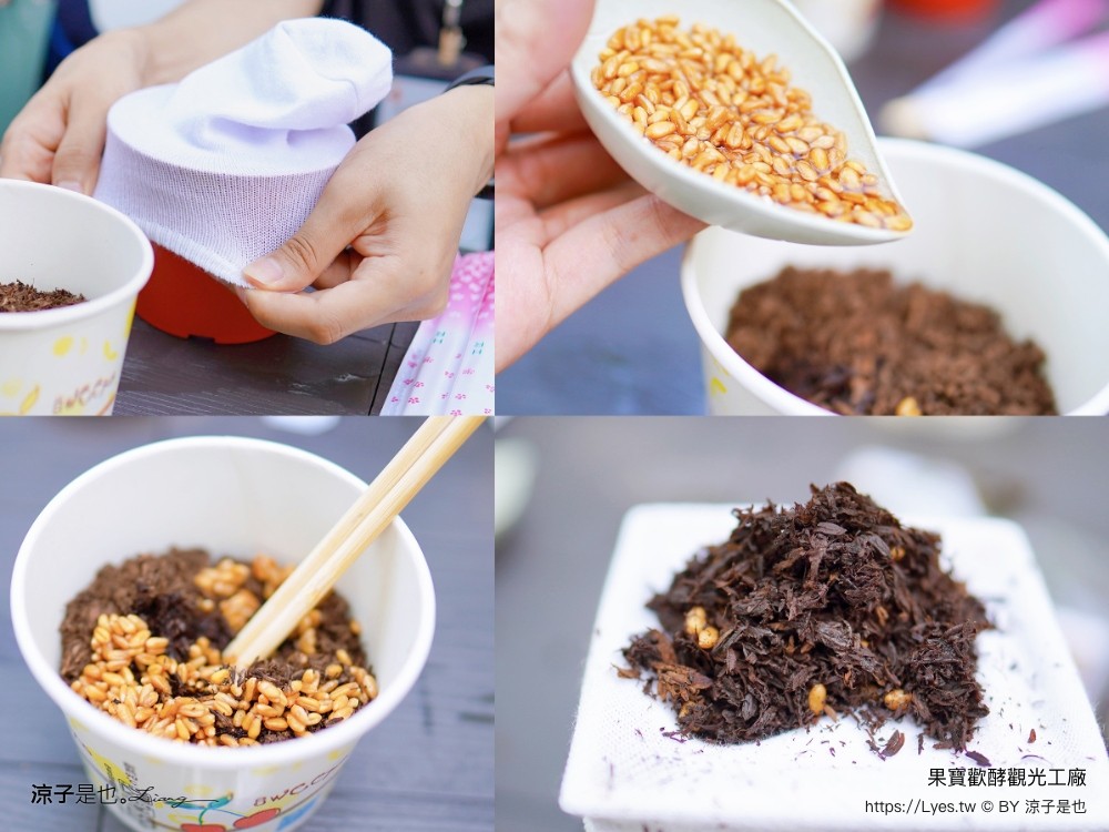 果寶歡酵觀光工廠 有機嘉寶果農場 門票 樹葡萄 南投埔里 親子景點 diy體驗 桃米休閒農業區