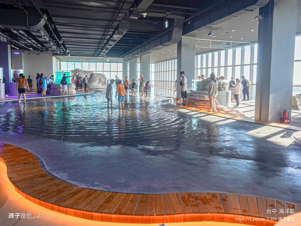 台中海洋館 門票優惠 交通 八大展區 免費票 台中親子景點 台中景點推薦 懶人包 攻略 必看特色