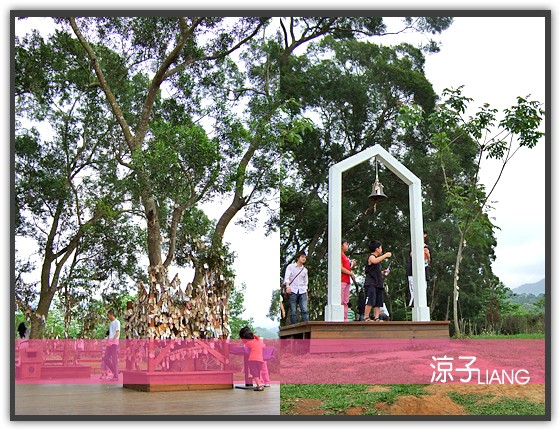 薰衣草森林 明德店10