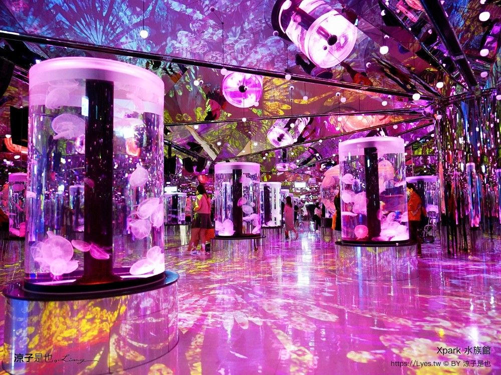 xpark水族館 門票優惠 桃園 親子景點 最新攻略 必看展區 美食餐廳 交通 停車 住宿