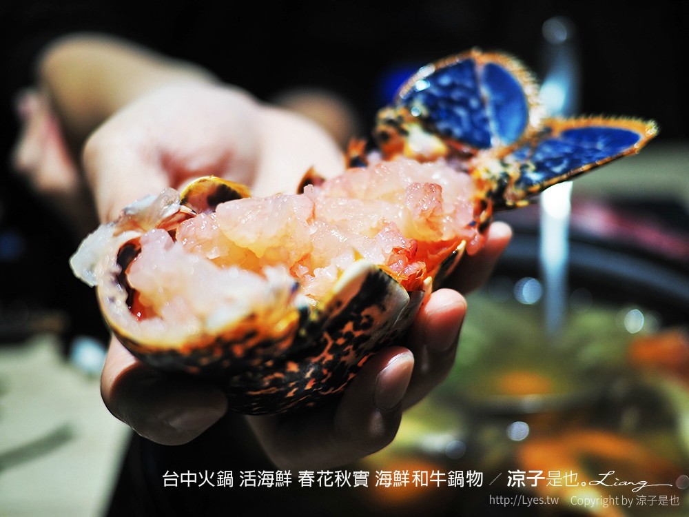 台中火鍋 活海鮮 春花秋實 海鮮和牛鍋物