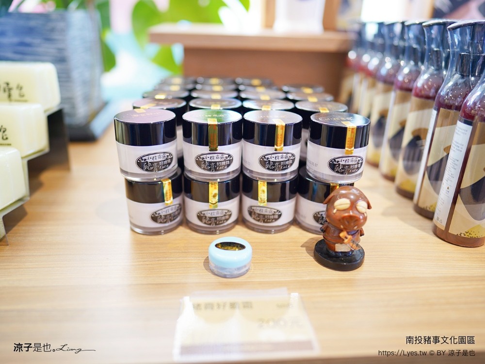 南投名間親子生態園區 南投親子公園 彩虹溜滑梯 盪鞦韆 免門票親子景點 野餐 天空步道 2022重新開幕