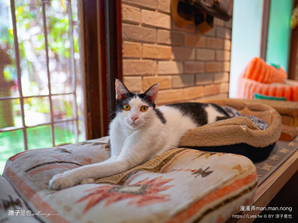 漫漫弄 菜單 台南南區美食 台南咖啡館 老宅餐廳 早午餐 義大利麵 漢堡 下午茶