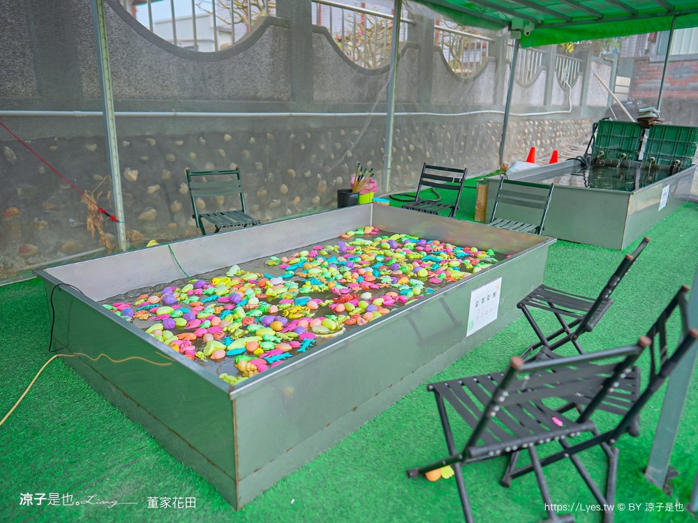 董家花田 菜單 門票 景點 彰化景點 田尾景觀餐廳 花海 戶外野餐 咖啡 交通