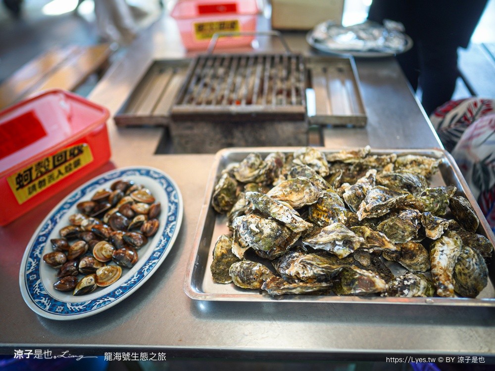 龍海號生態之旅 台南七股景點 台南景點 烤蚵吃到飽 親子景點 台南生態旅遊