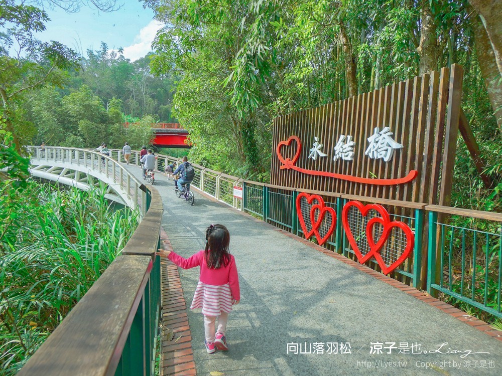 向山落羽松 日月潭自行車道 湖畔 落羽松步道 日月潭景點推薦 IG打卡 南投親子