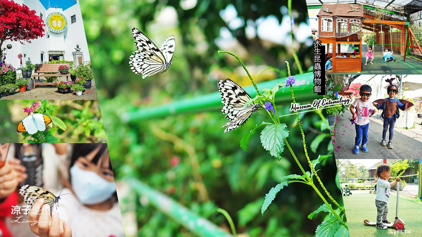 南投埔里-木生昆蟲博物館 蝴蝶小鎮生態休閒園區 專業導覽帶小孩親近蝴蝶昆蟲 埔里親子景點