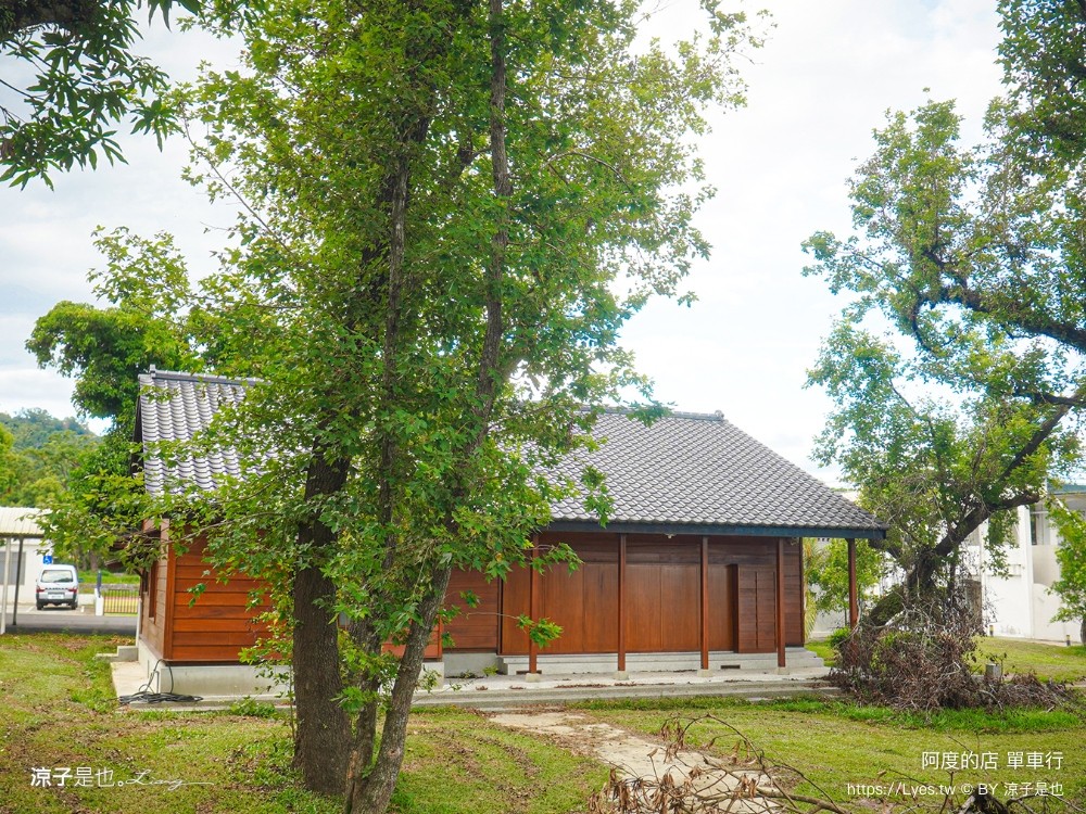 阿度的店 台東景點 鹿野 租車 電動單車遊 綠色隧道 躺馬路 體驗 自行車