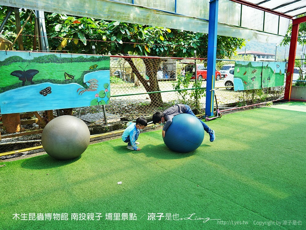 木生昆蟲博物館 南投親子 埔里景點