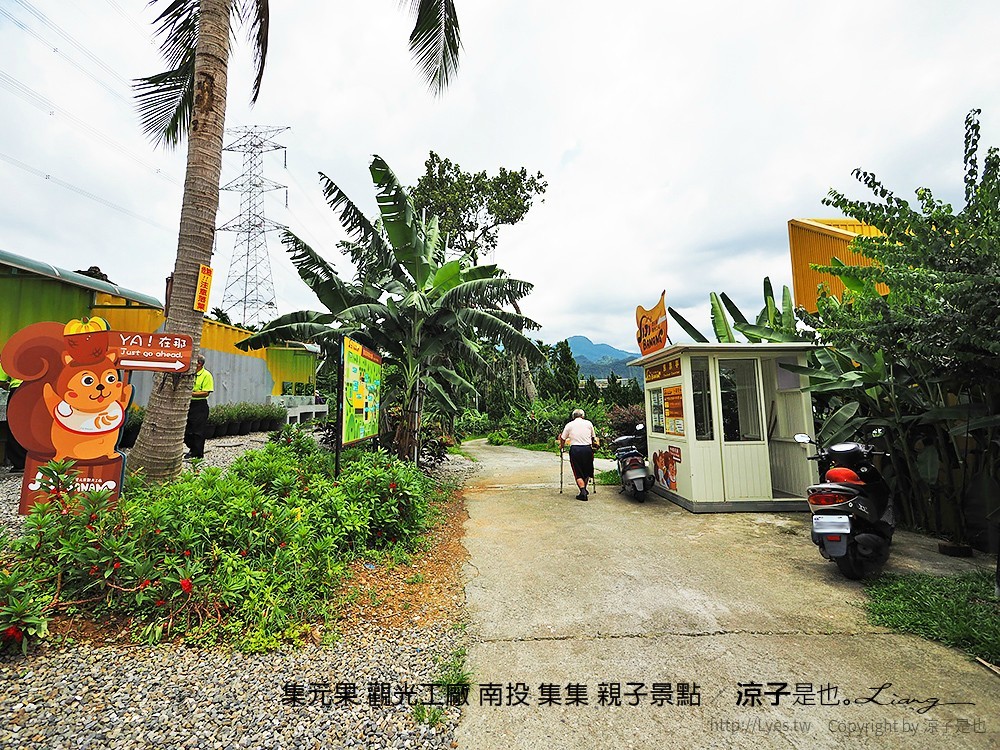 集元果 觀光工廠 南投 集集 親子景點
