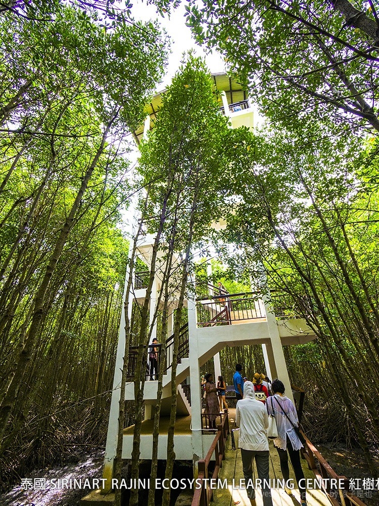 泰國 SIRINART RAJINI ECOSYSTEM LEARNING CENTRE 紅樹林生態系統學習中心