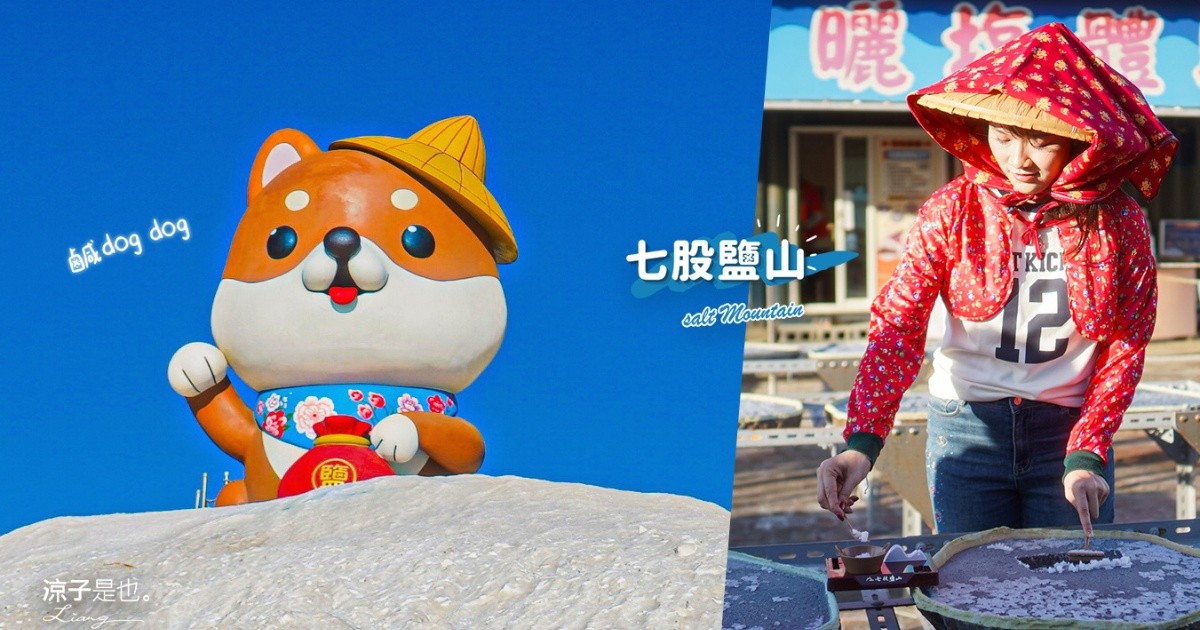 七股鹽山 台南景點 台南親子景點 七股一日遊 鹽罐DIY 寵物友善