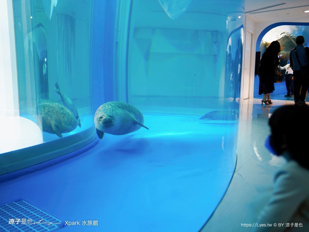 xpark水族館 門票優惠 桃園 親子景點 最新攻略 必看展區 美食餐廳 交通 停車 住宿
