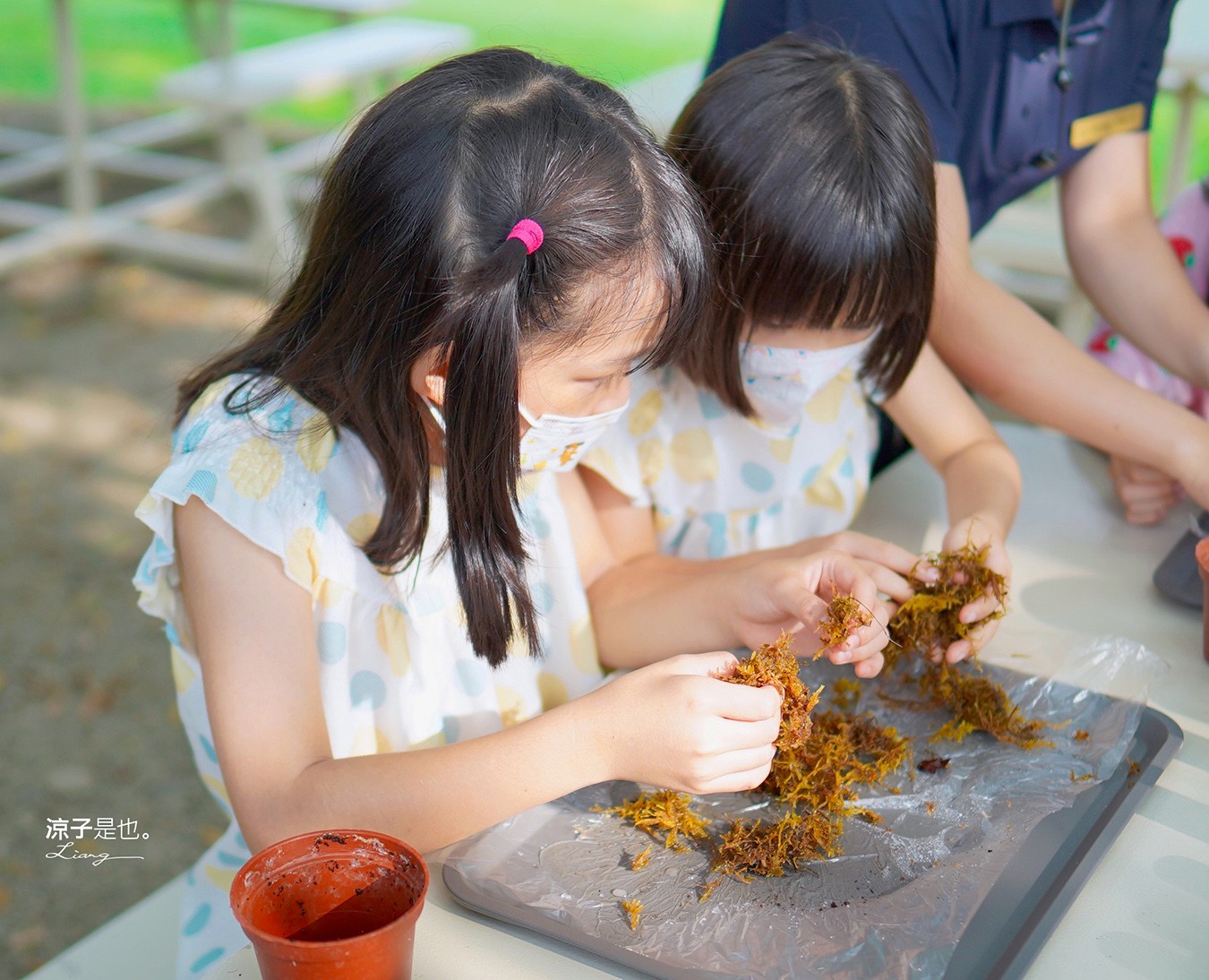 斑比跳跳 苗栗住宿 三灣棕櫚灣 頂級豪華 苗栗親子景點 露營車房型 價位優惠 評價
