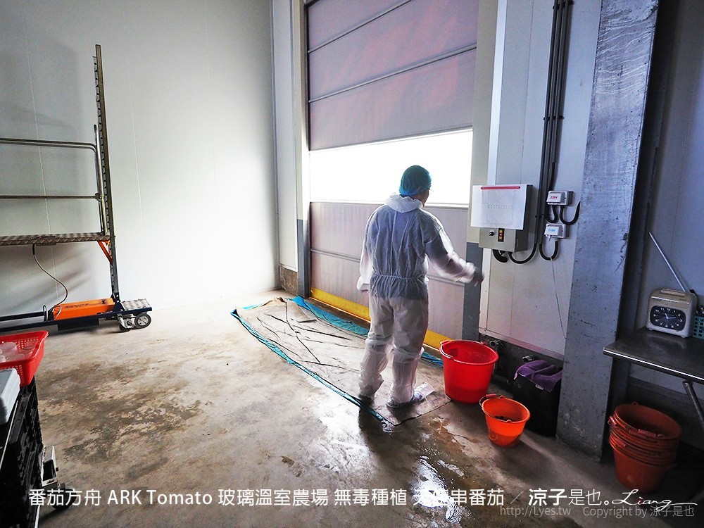番茄方舟 ARK Tomato 玻璃溫室農場 無毒種植 天使串番茄