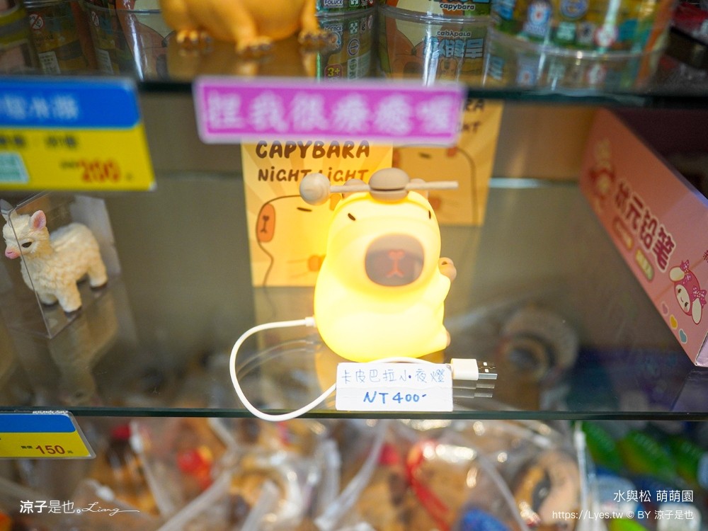 水與松萌萌園 門票 埔里 親子景點 動物園 埔里一日遊推薦 南投農場 羊駝 水豚君 南投景點