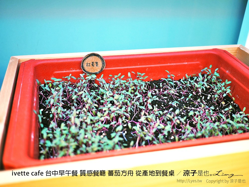 ivette cafe 台中早午餐 質感餐廳 蕃茄方舟 從產地到餐桌